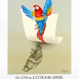 Dan Van Khache Macaw Parrot Collection Mourlot Exhibition Art Print