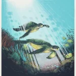 Biscayne National Park Fifty Nine Parks 2016