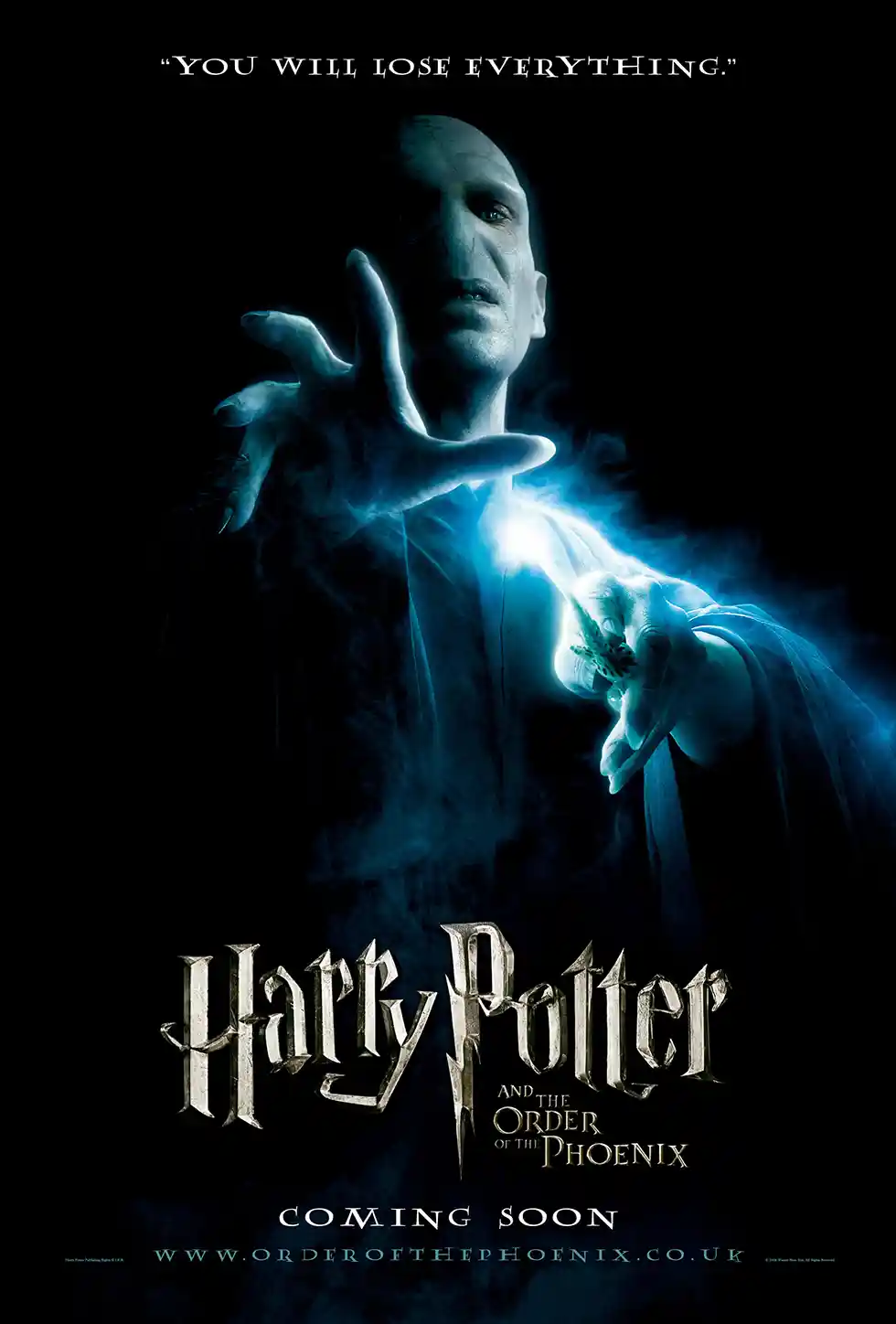 Harry Potter And The Order Of The Phoenix Movie Poster – Collector Poster: Modern Fantasy Wall Art Print