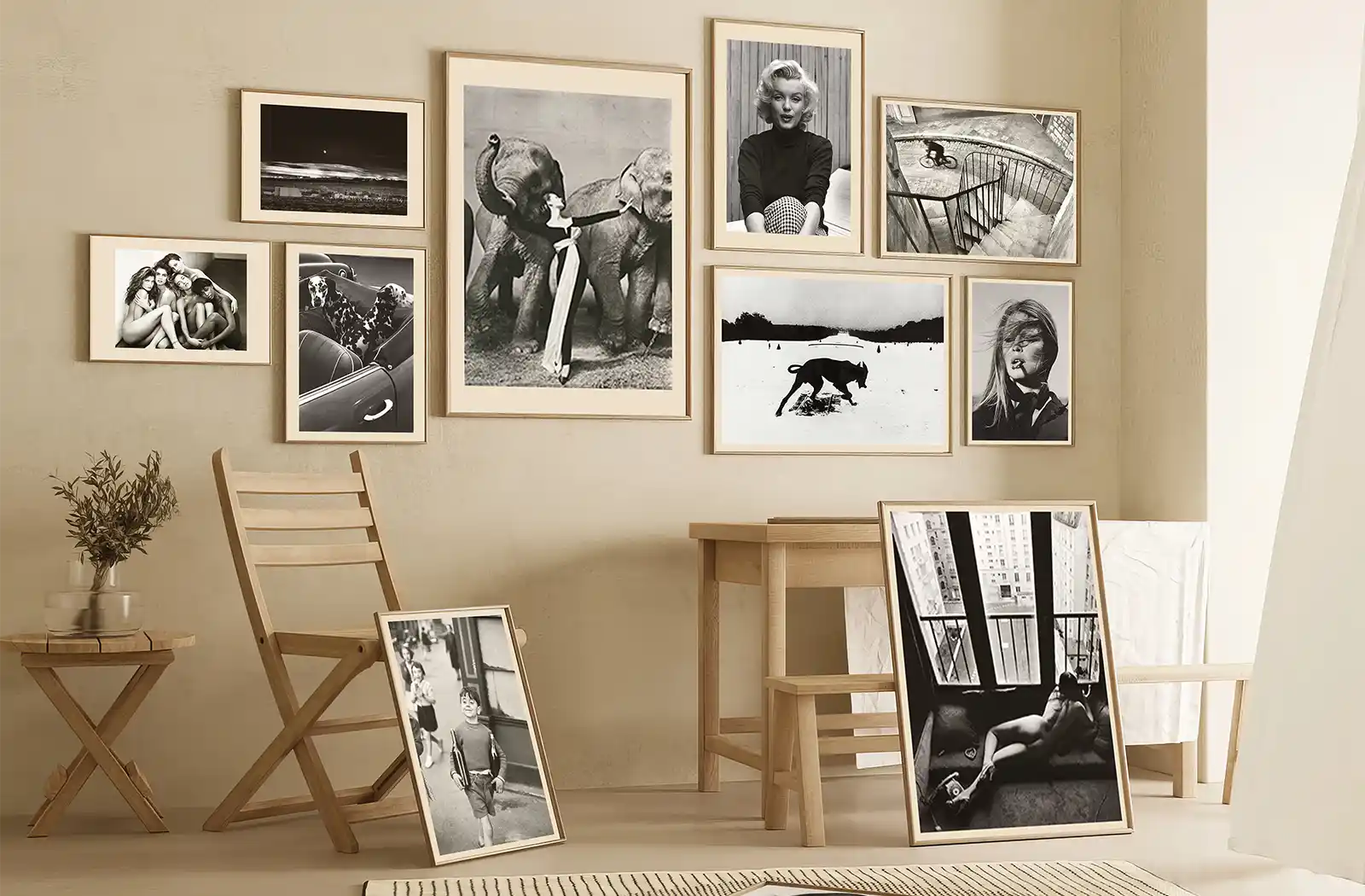 Photography prints collection with landscapes, cityscapes, and wildlife