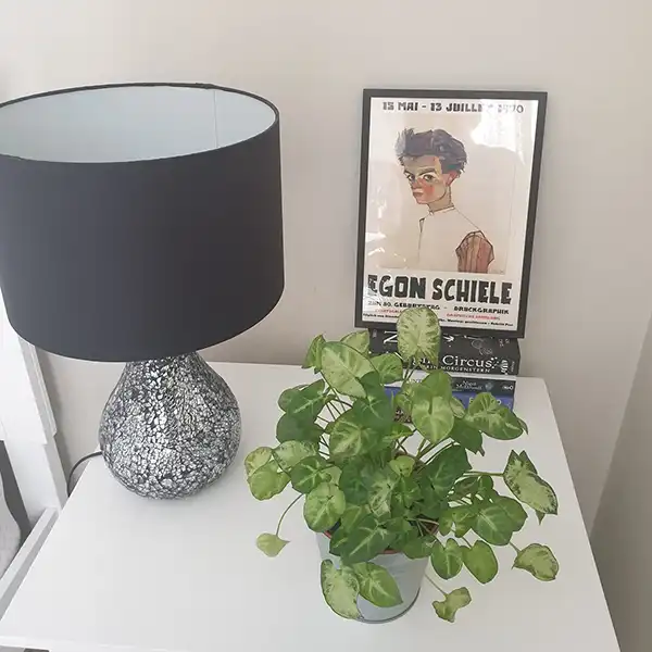 MerchFuse framed wall art display inspiration 5