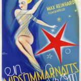 A Midsummer Night's Dream 1935 Swedish Fairy Movie Poster