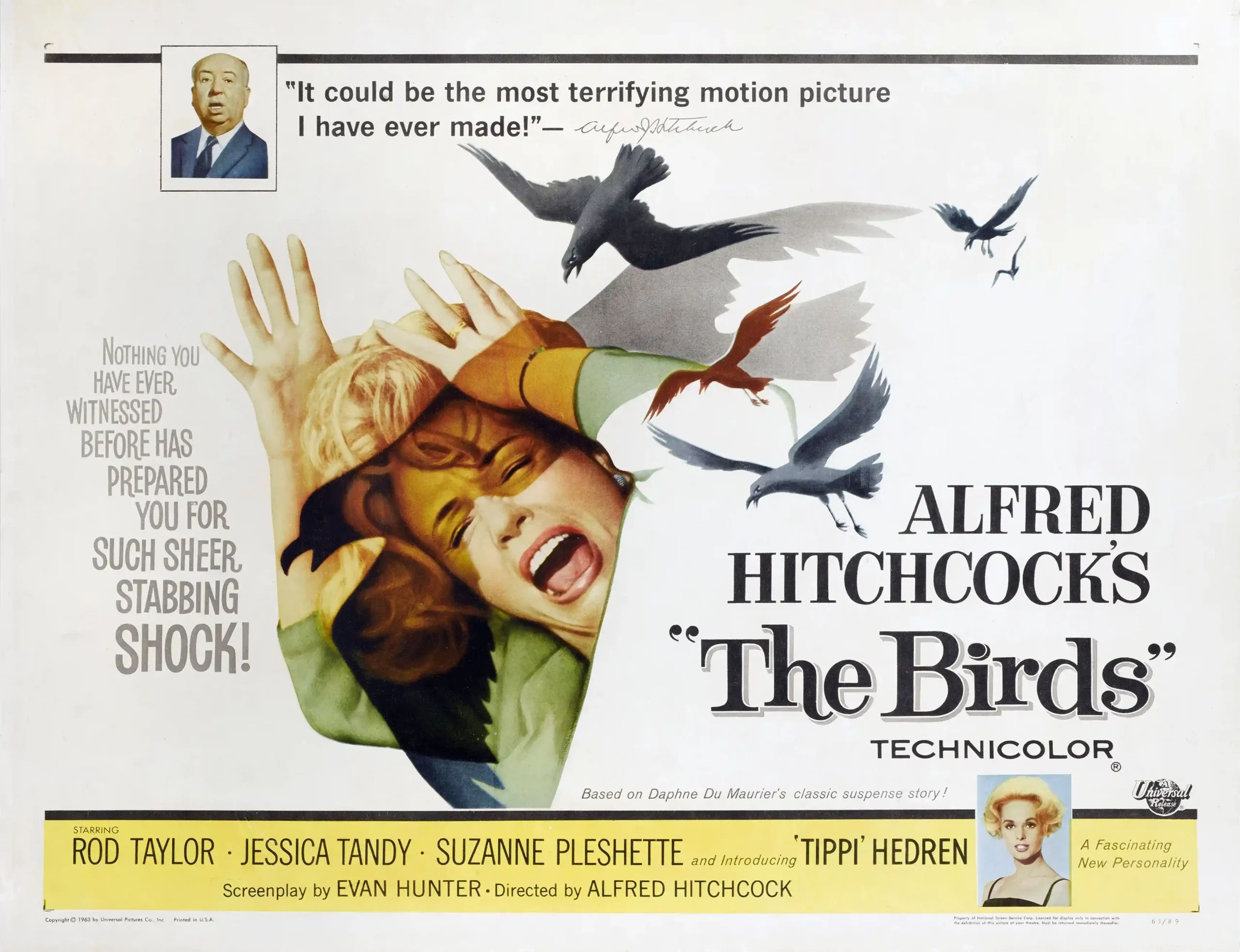 The Birds (1963) | Classic Horror Movie Poster | Vintage Attack Wall Art