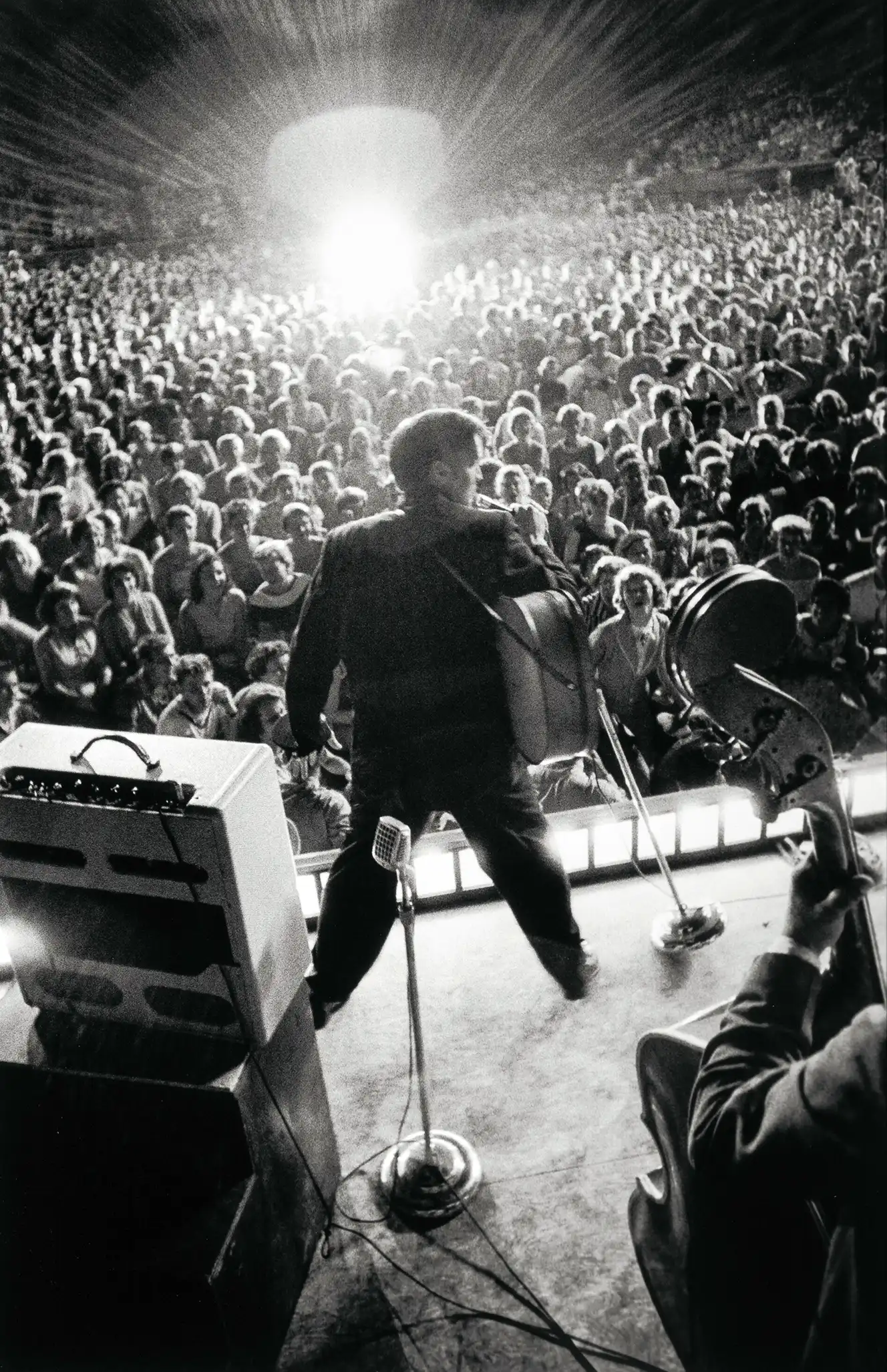 Elvis Presley | Music Poster | Iconic 1956 Concert Photo