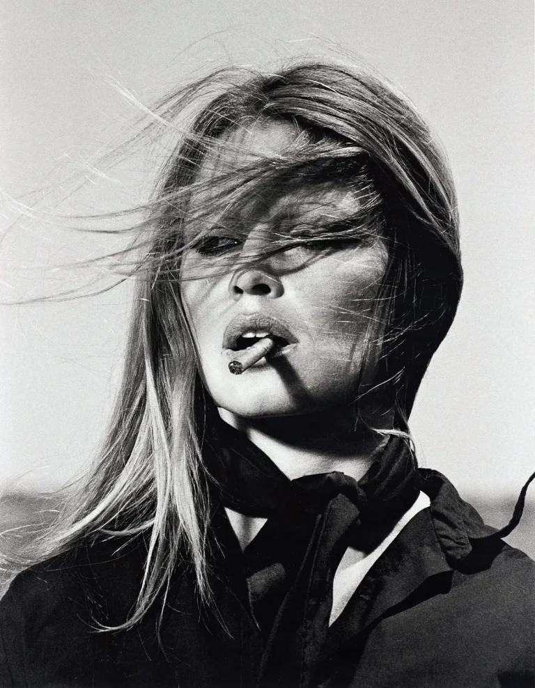 Brigitte Bardot Celebrity poster featuring her with wind-swept hair, a cigarette, in a dramatic black & white photography style.
