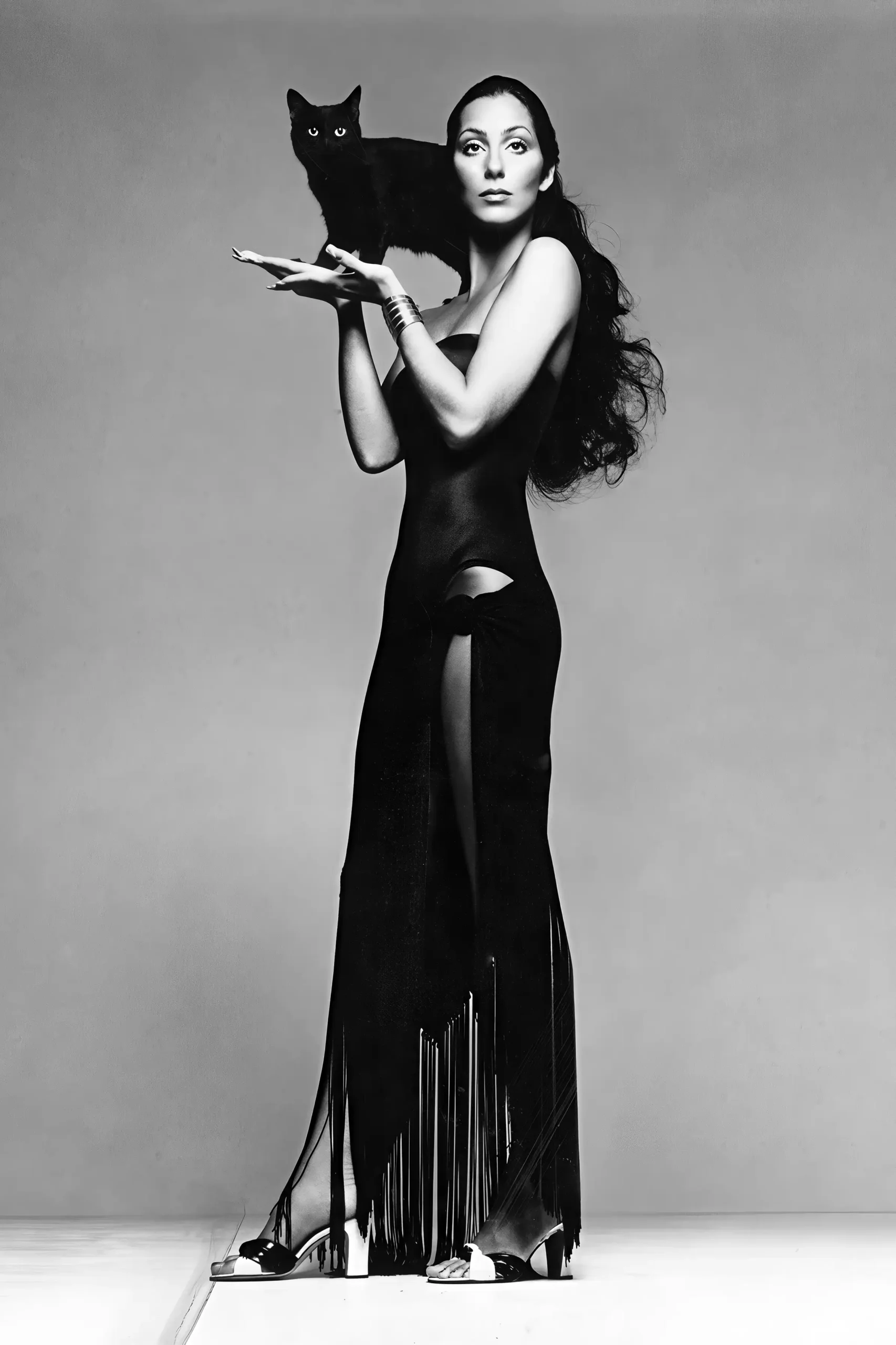 Cher print — vintage Cher music black and white wall art, museum-quality celebrity portrait photography print