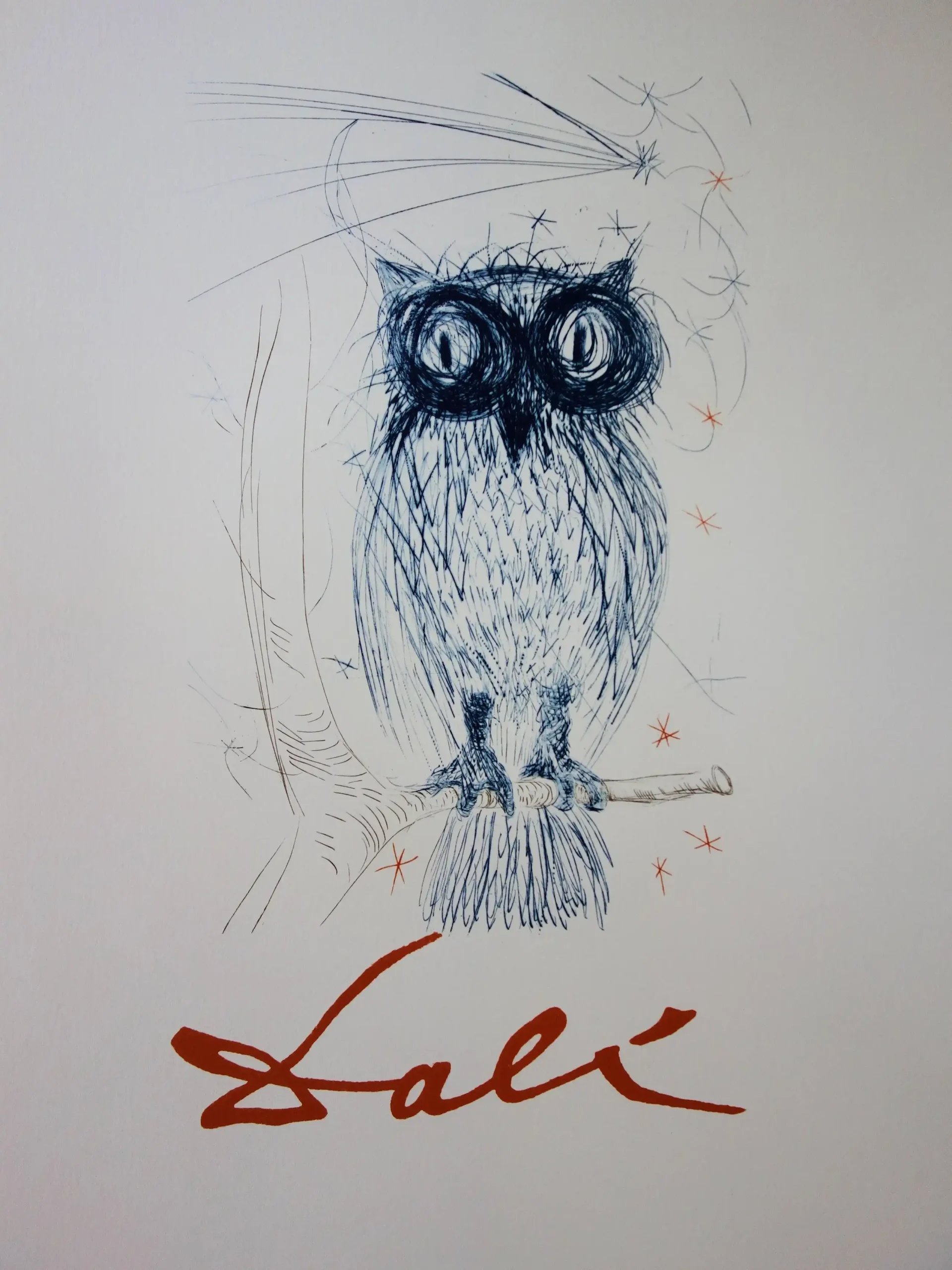 Salvador Dalí | Art Poster | Surreal Owl Ink Sketch Print