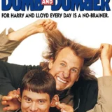 Dumb and Dumber Harry and Lloyd Comedy Movie Poster
