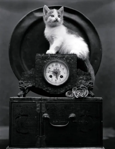 Edward Weston Mary on Clock 1945 Vintage Photography Print