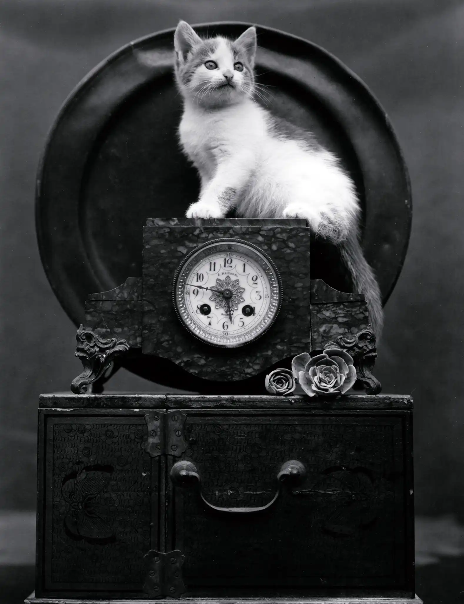 Edward Weston | Art Photography Poster | Kitten on Antique Clock Print