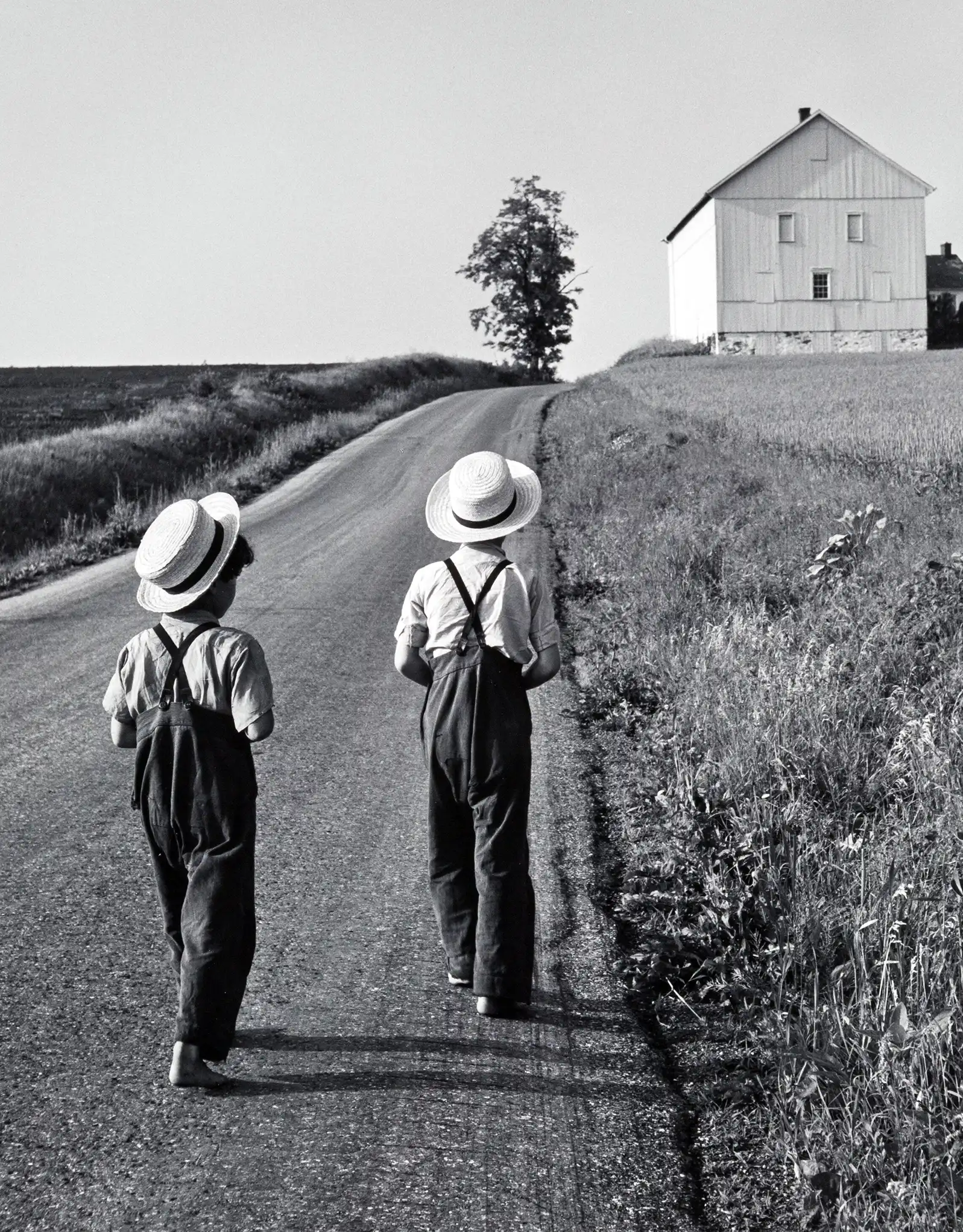 George Tice | Fine Art Photography Poster | Two Amish Boys Black & White Print