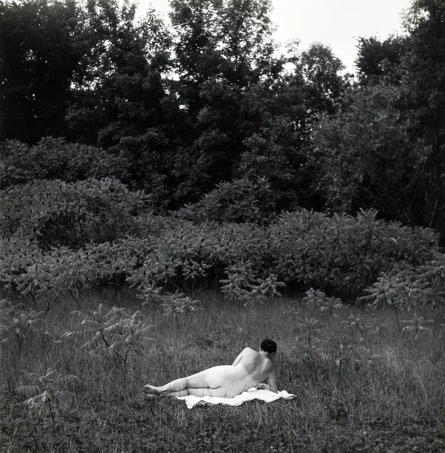 Harry Callahan | Art Poster | Black & White Nude in Nature Photography