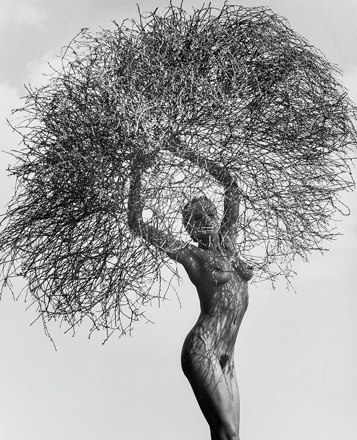 Herb Ritts | Fine Art Photography Poster | Iconic 'Woman with Tumbleweed' Nude Print