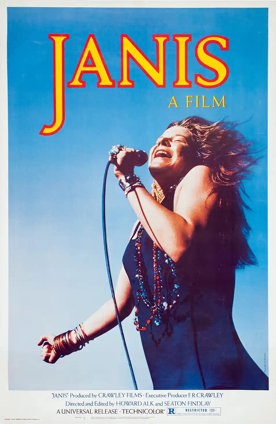Janis Joplin | Music Poster | Iconic Live Performance Art Print
