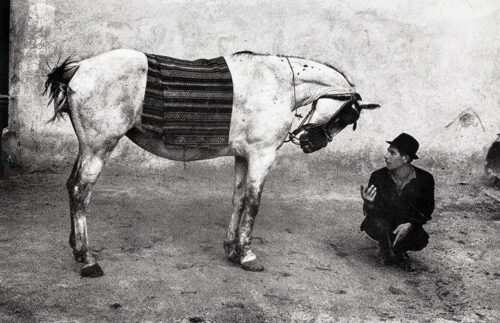 Josef Koudelka Romania Gypsy with Horse 1968 Photography Print