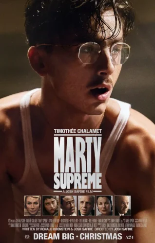 Marty Supreme Timothée Chalamet Boxer Portrait Movie Poster