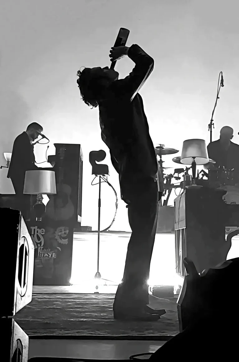 Matty Healy The 1975 Music poster featuring Matty Healy drinking from a bottle on stage in black and white.