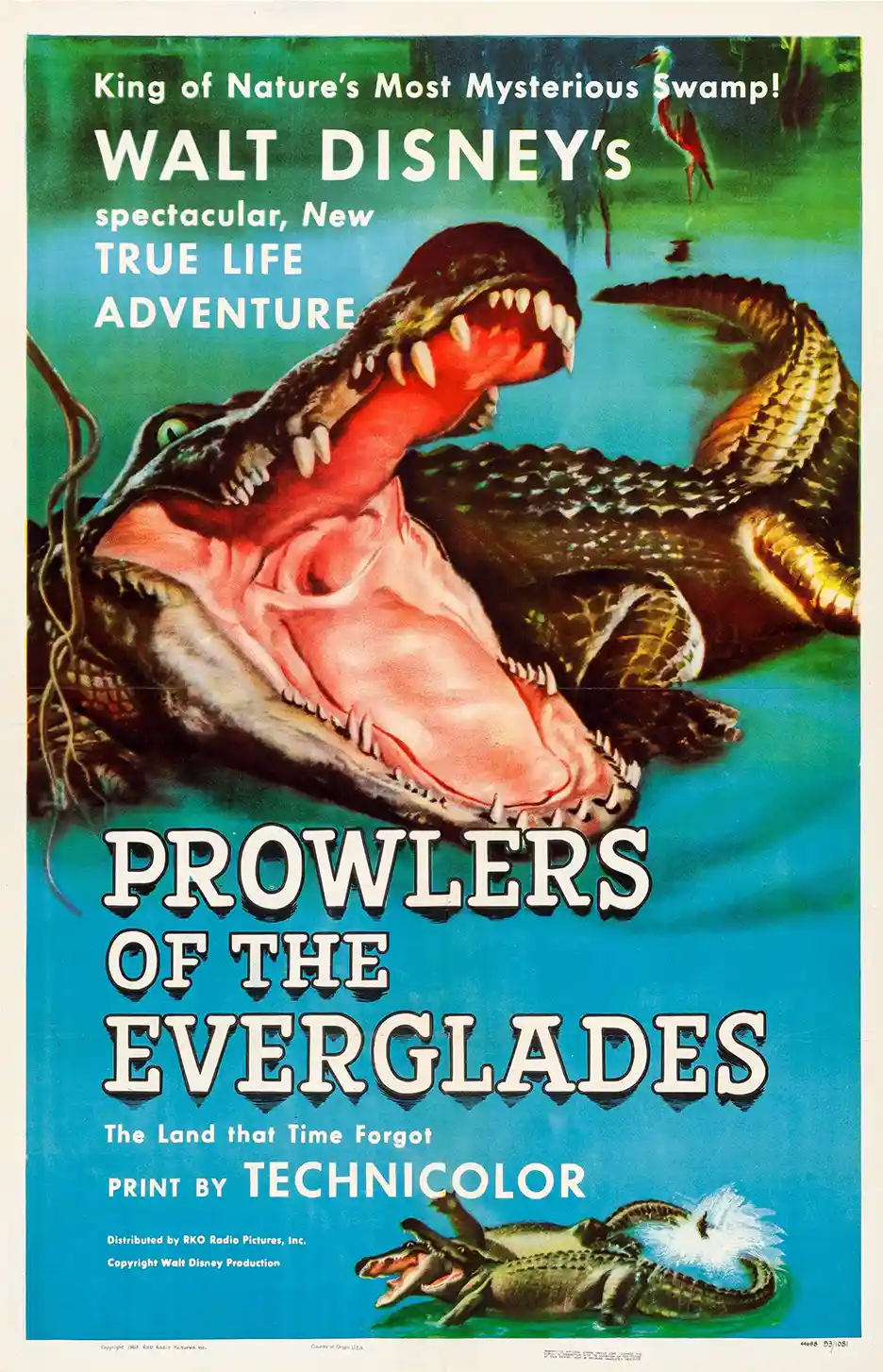 Prowlers of the Everglades | Movie Poster | Vintage Disney Alligator Art