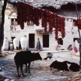 Raghubir Singh Naubora Village Kashmir India Photography Print
