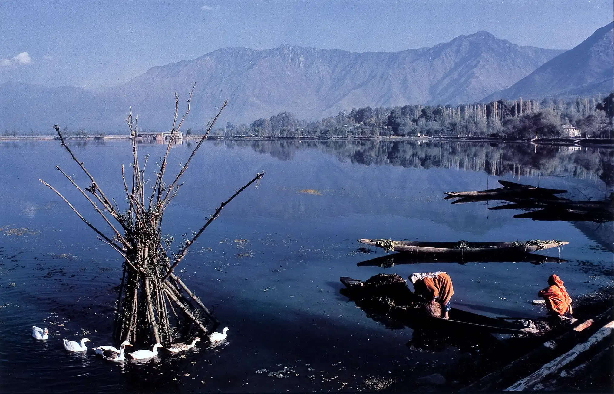 Raghubir Singh print — Dal Lake Kashmir 1982, India color photography lotus leaves women ducks wall art