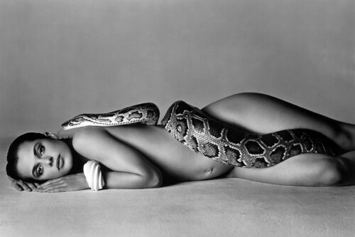 Nastassja Kinski and the Serpent by Richard Avedon Photography Print