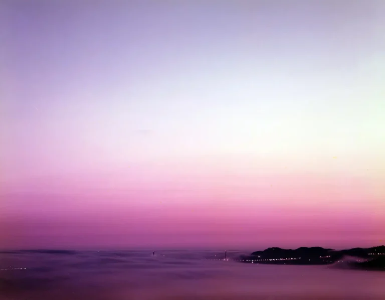 Richard Misrach fine art photography poster featuring a wide landscape image dominated by deep purple and pink twilight hues over a layer of thick fog.