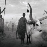 Sebastiao Salgado, South Sudan Cattle Camp Black and White Photography Print