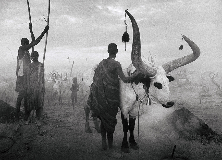 Salgado Dinka Cattle Camp | Documentary Photography Poster | Iconic B&W Art