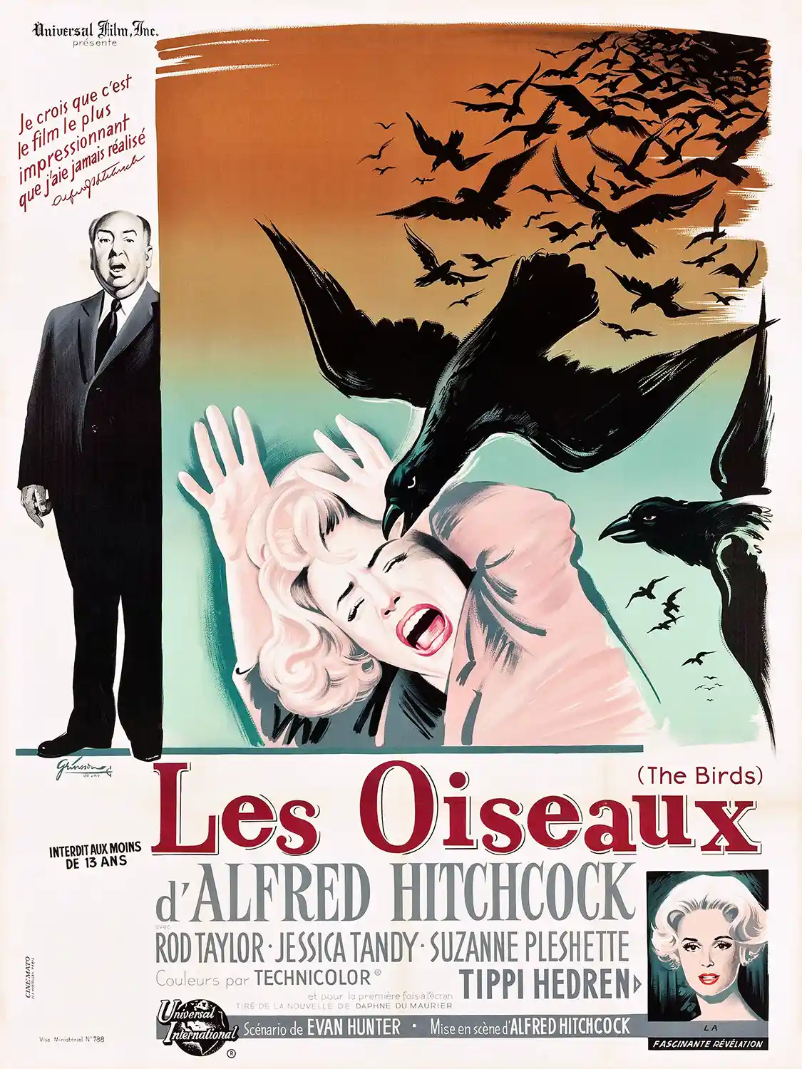The Birds | Alfred Hitchcock Movie Poster | Vintage French Wall Art Print