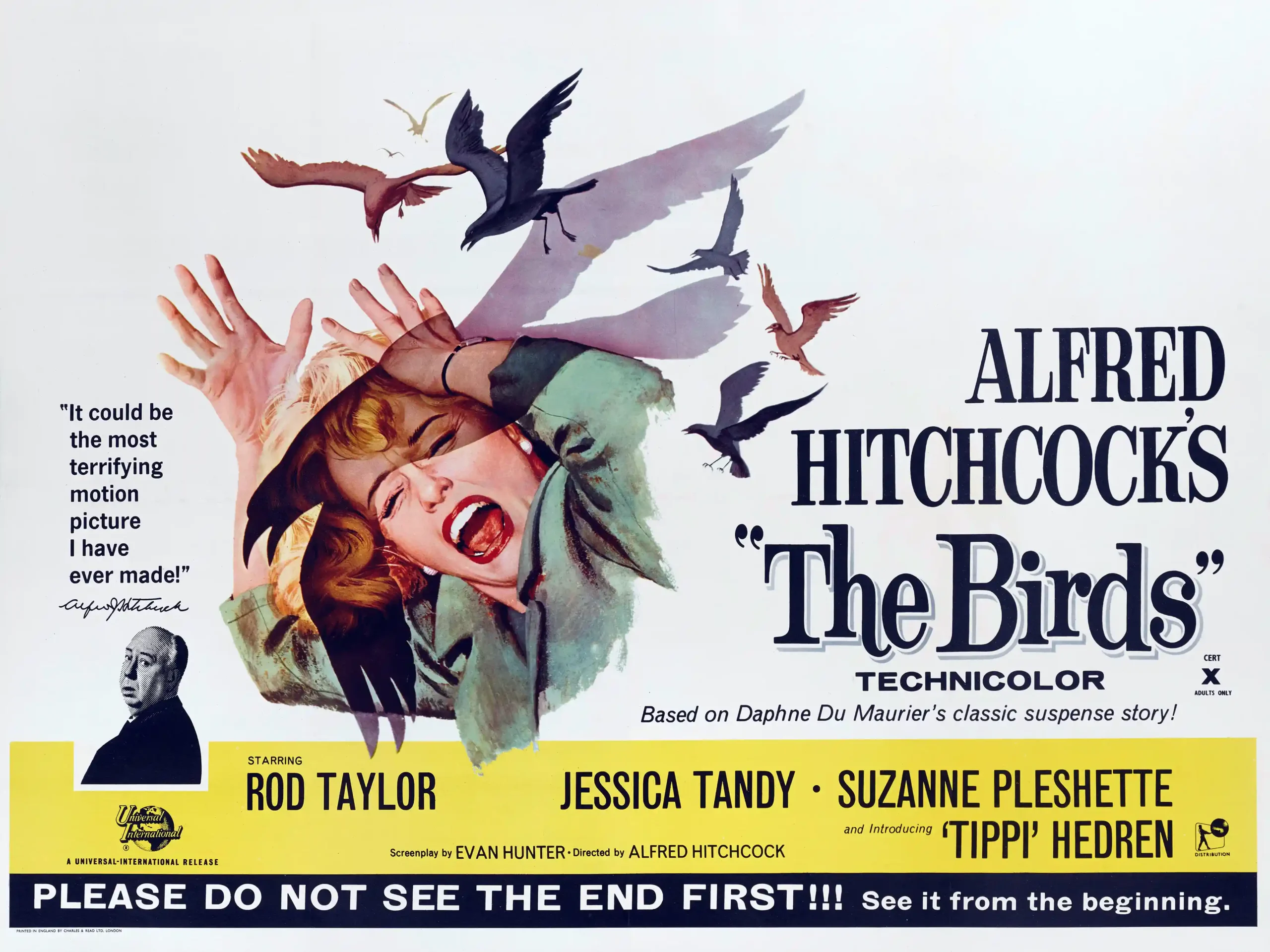 The Birds | Classic Horror Movie Poster | Vintage Hitchcock Wall Art