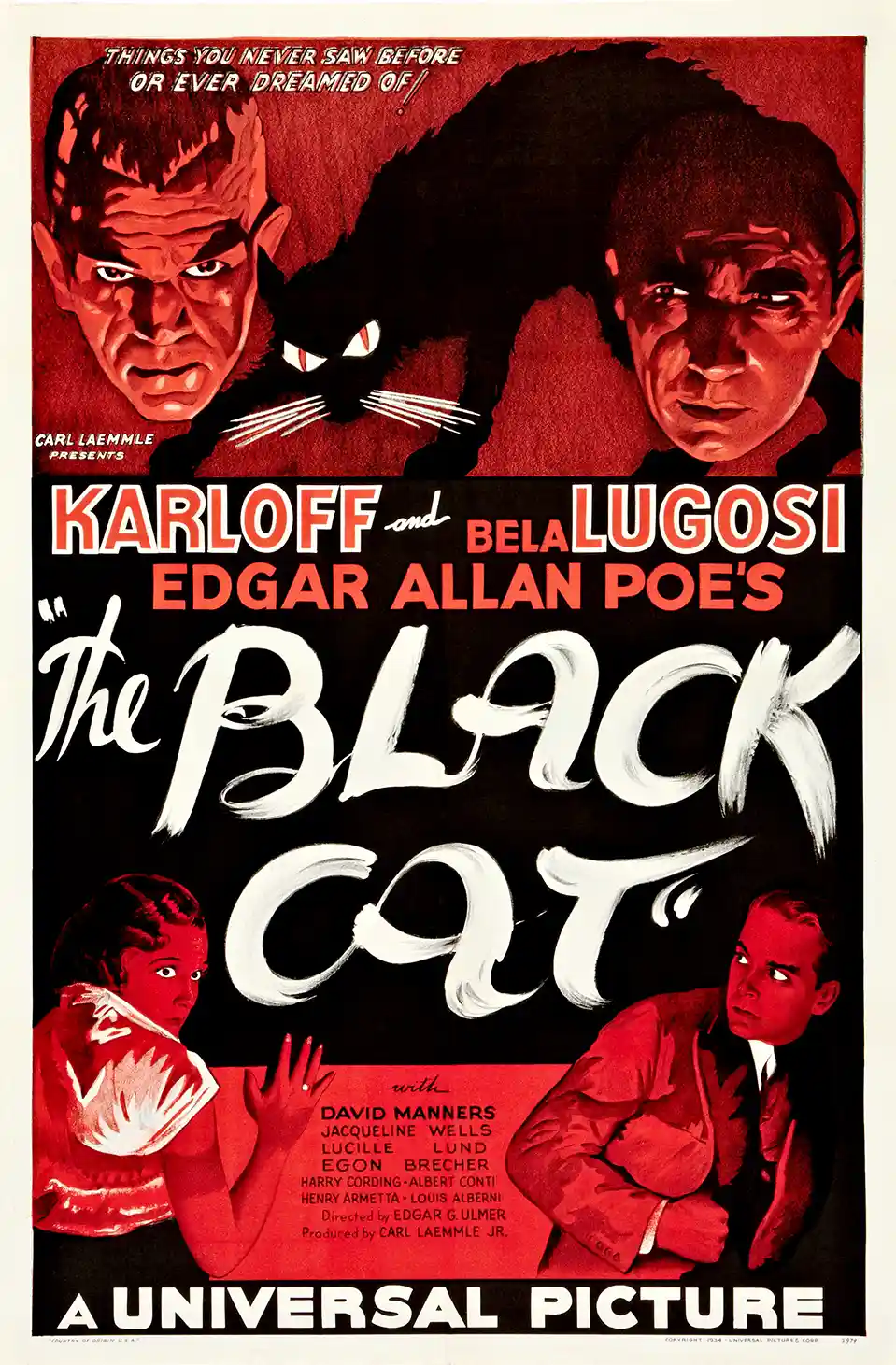The Black Cat (1934) | Karloff Lugosi Movie Poster | Vintage Horror Wall Art Print