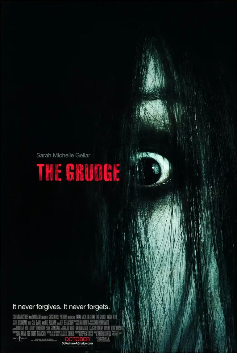The Grudge Horror Movie poster featuring the ghost's face obscured by long black hair, revealing only a single large, wide-open eye.