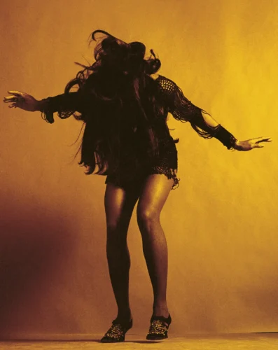 Tina Turner Performance Photography Print, Music Icon Photography
