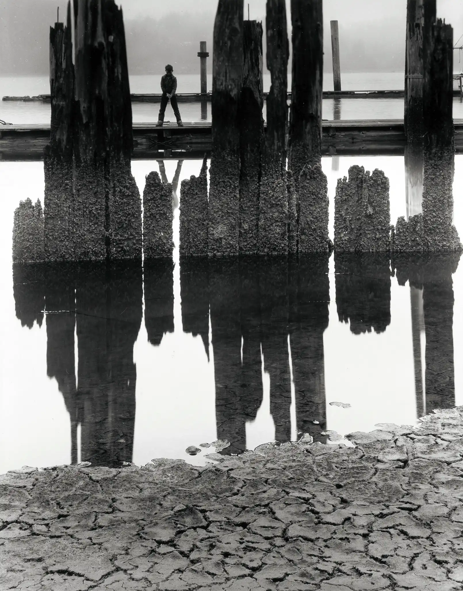 Wynn Bullock print — Boy Fishing 1959, fine art photography black and white nature California landscape print