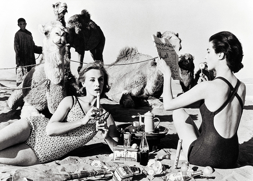 William Klein Photography | Fine Art Poster | Camels on the Beach, Tunisia Print