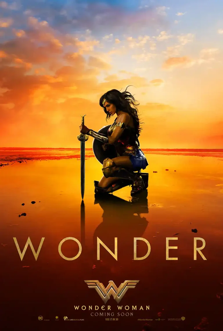 Wonder Woman (2017) Movie poster featuring Gal Gadot as Diana Prince kneeling with her sword, reflecting the fiery orange sunset sky.