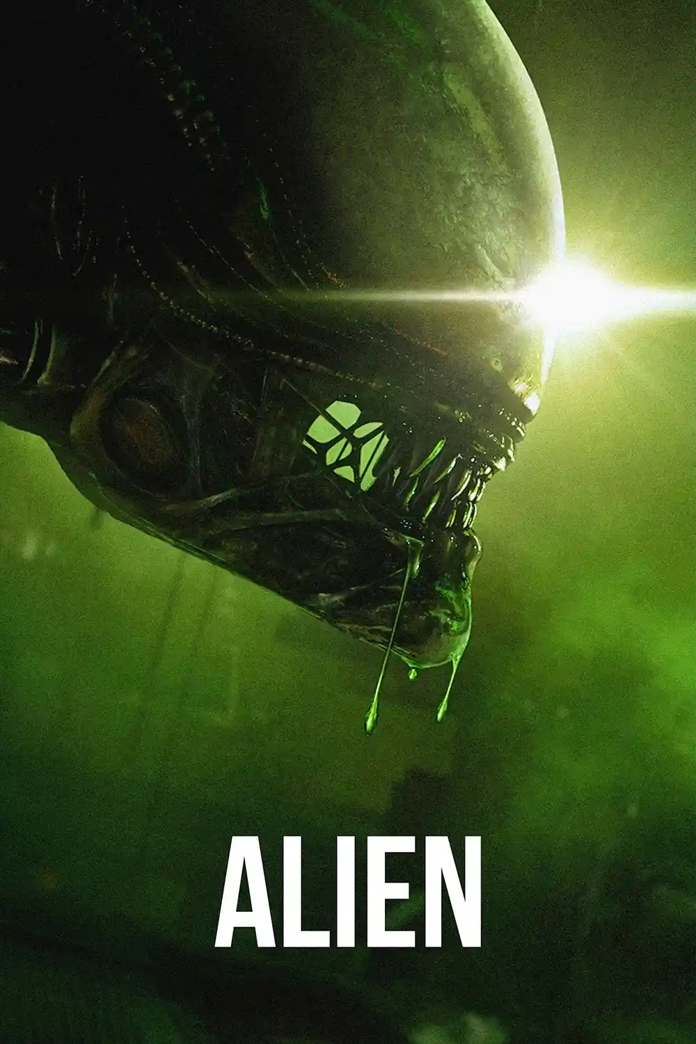 Alien | Movie Poster | Xenomorph Face Wall Art Print