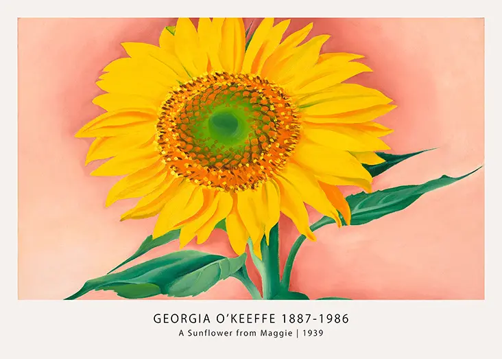Georgia O'Keeffe A Sunflower from Maggie 1939 Fine Art Poster