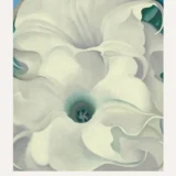 Bella Donna Print, Georgia O'Keeffe White Flower Wall Art Print