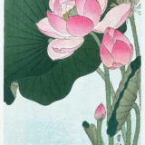 Ohara Koson Blooming Lotus Flowers Japanese Woodblock Art Print