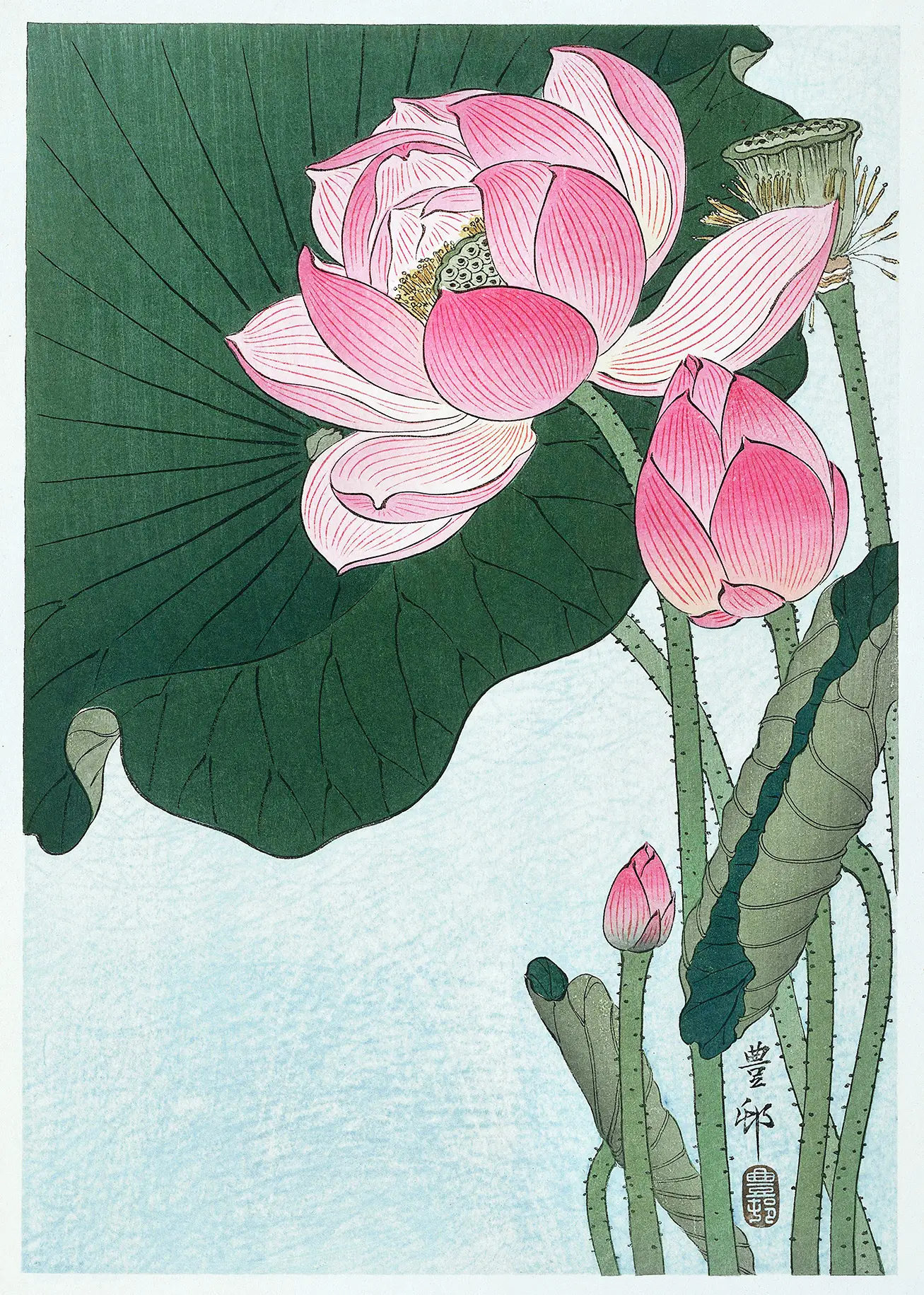 Classic Vintage Lotus Print - 1920S Japanese Woodblock Floral Art Vintage Lotus Print Showing A Pink Japanese Woodblock Flower With Large Green Leaves And A Seed Pod In Shin-Hanga Style.