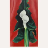 Calla Lilies Poster, O'Keeffe White Flowers on Red Art