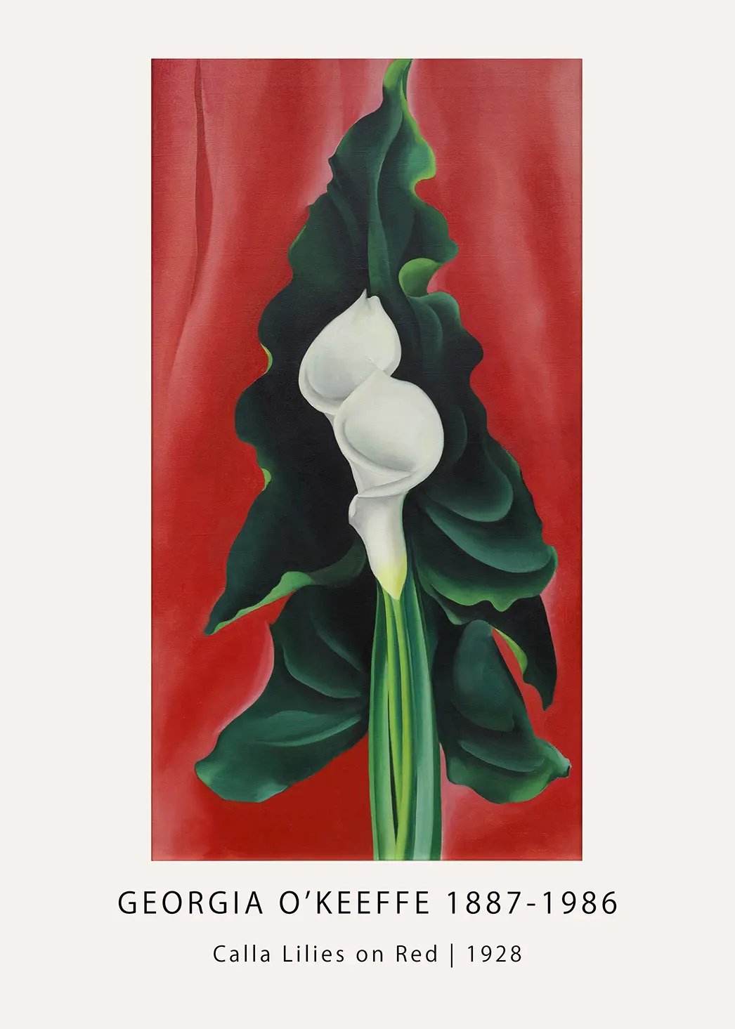 Classic Georgia O'Keeffe Print: Calla Lilies On Red 1928 Fine Art Poster Classic Georgia O'Keeffe Print: Calla Lilies On Red 1928 Fine Art Poster