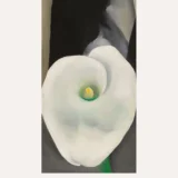 Calla Lily Print, Georgia O'Keeffe White Floral Version 7 Alternate 1 Wall Art Print