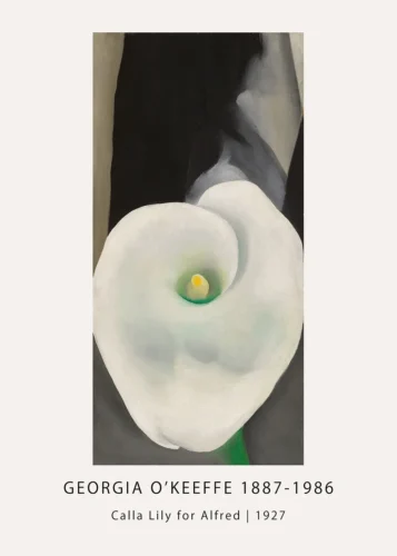 Calla Lily Print, Georgia O'Keeffe White Floral Version 7 Alternate 1 Wall Art Print