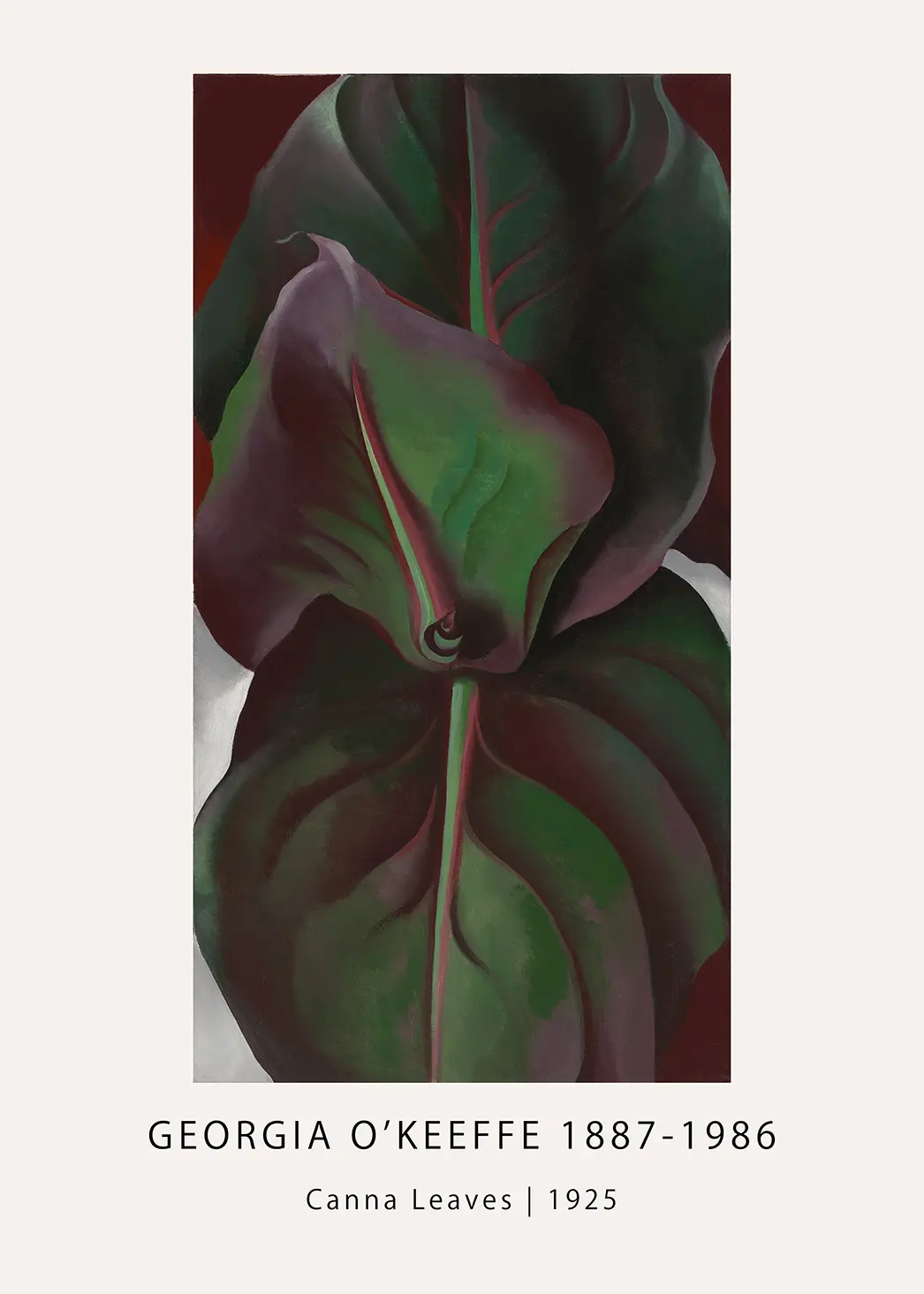 Georgia O'Keeffe Print - Canna Leaves 1925 Vintage Botanical Art