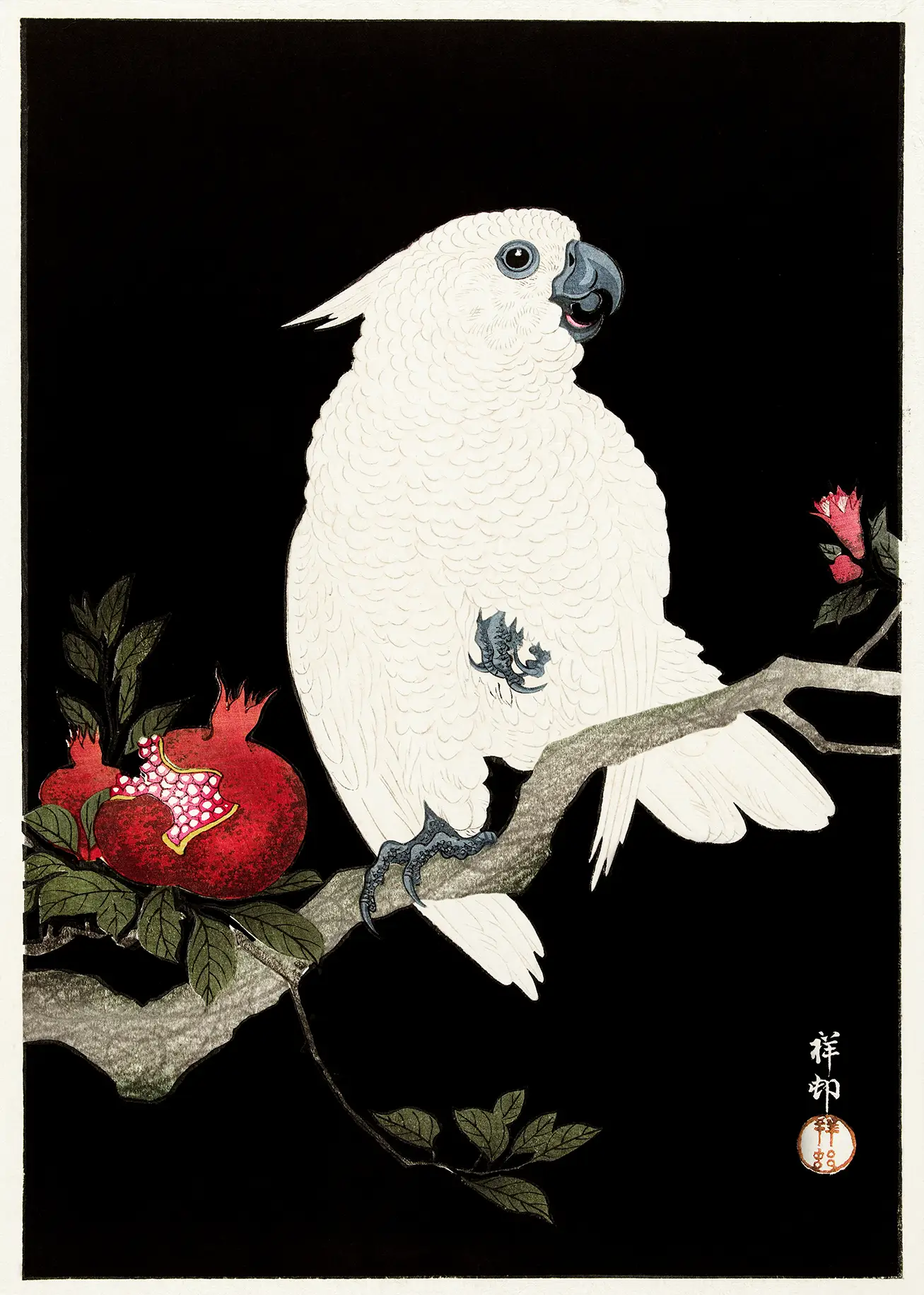 Japanese Cockatoo Print - Authentic Ohara Koson 1925 Woodblock Art Japanese Cockatoo Print Featuring A White Bird On A Pomegranate Branch With A Black Background In Woodblock Style.