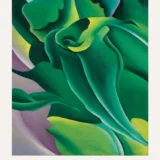 Georgia O'Keeffe corn Print, Corn No. 2 Botanical Art