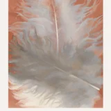 O'Keeffe Feather Print, Feathers White and Grey Wall Art Print
