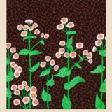 Yayoi Kusama Flowers 1985 Tokyo Museum Exhibition Art Print